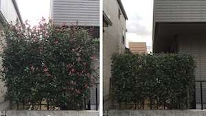 綺麗になりました!